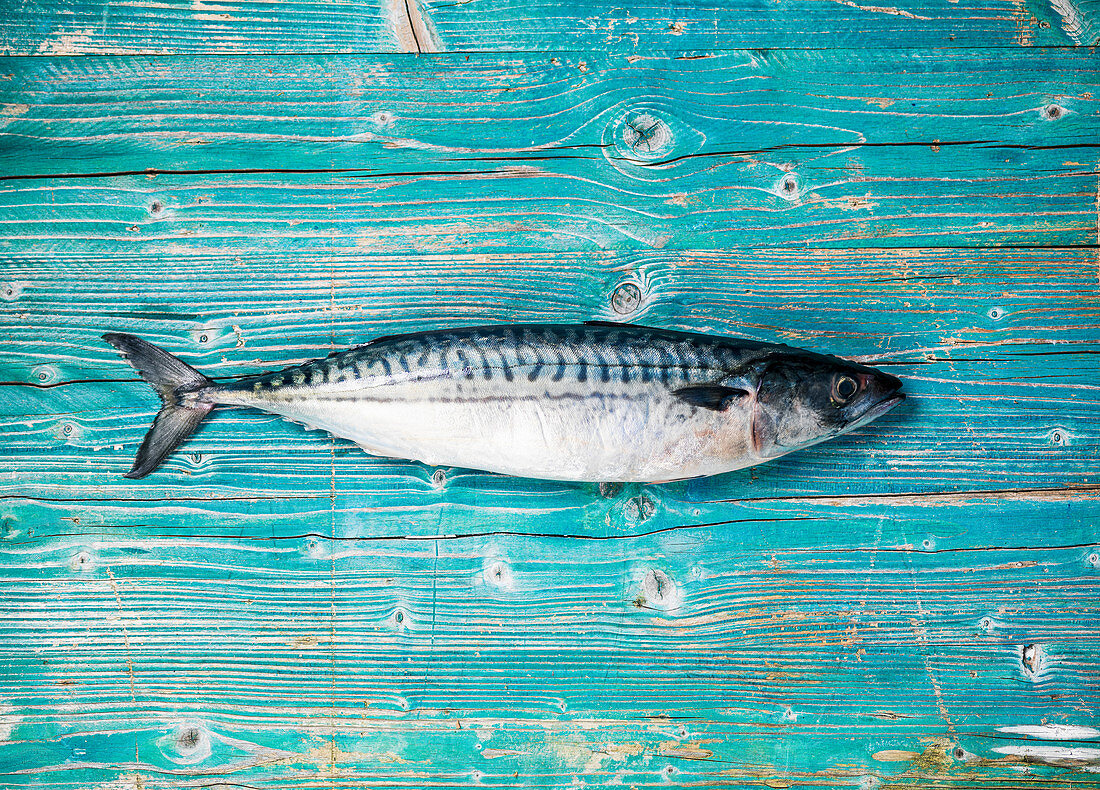 Whole fresh raw mackerel on a wooden board
