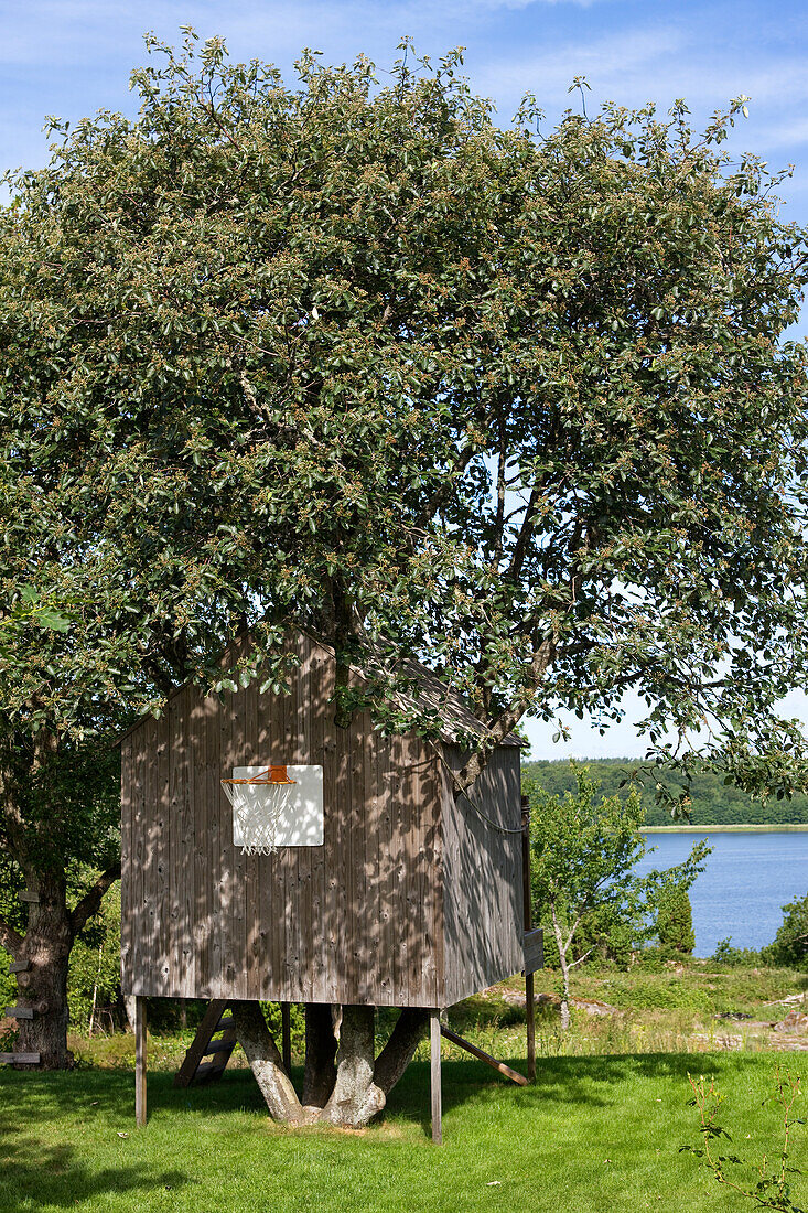 Tree house overlooking the lake