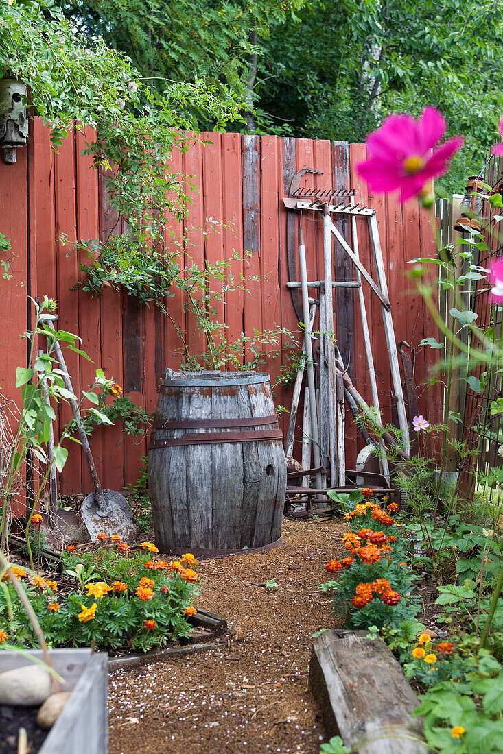 Altes Holzfass und Gartengeräte vor Holzwand im sommerlichen Garten