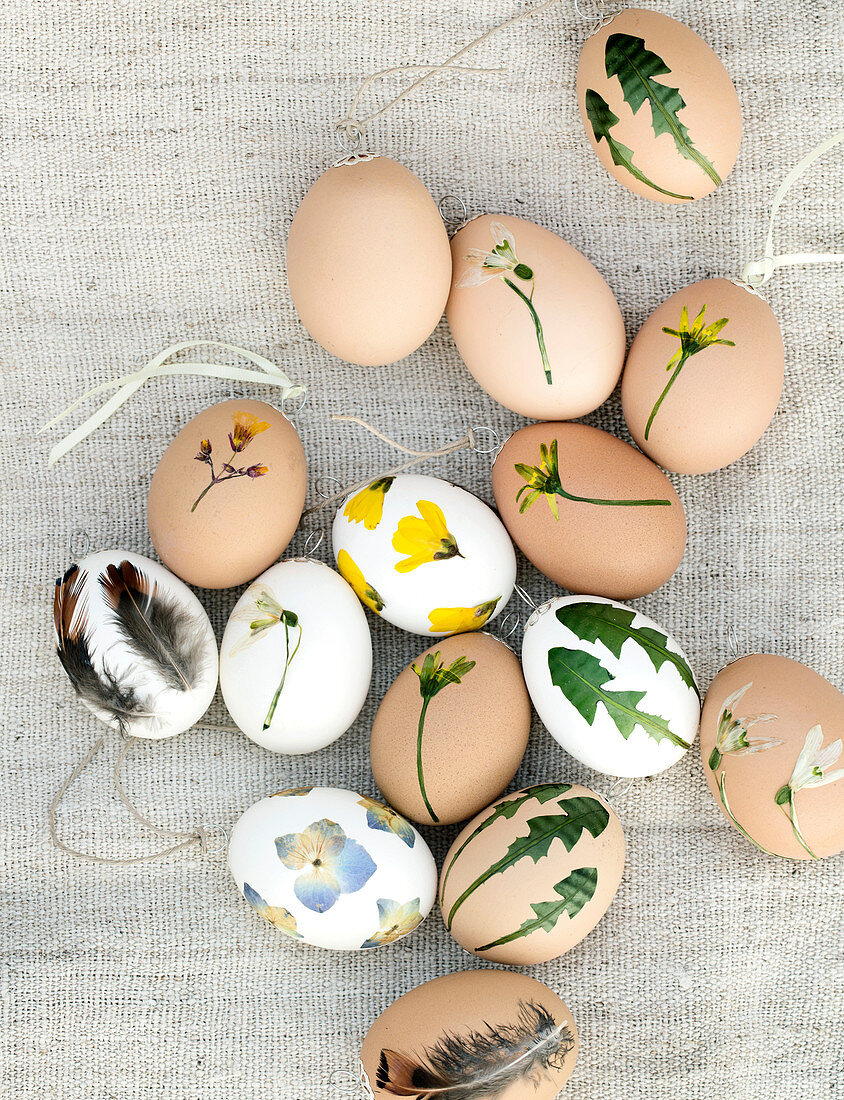 Easter eggs covered with pressed leaves, flowers, and feathers