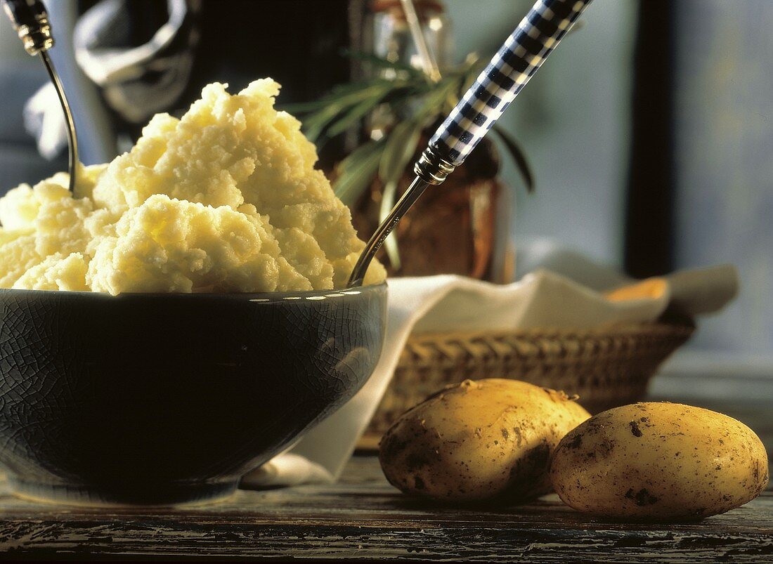 Kartoffelpüree in einer Schale, Deko: zwei frische Kartoffeln