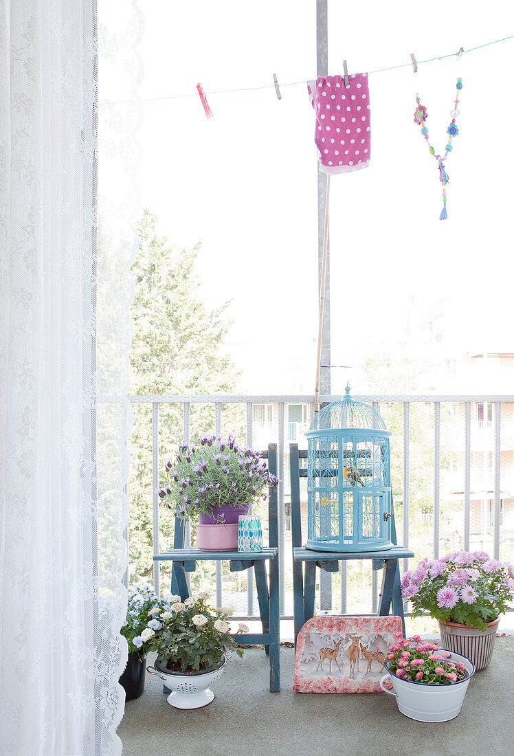 Blue chairs and flowers on the balcony