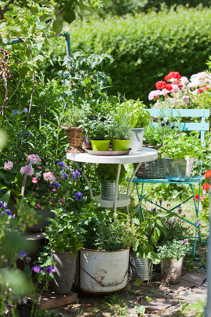 Kräuter und Blumen in Eimern, Konservendosen und Körben im Garten