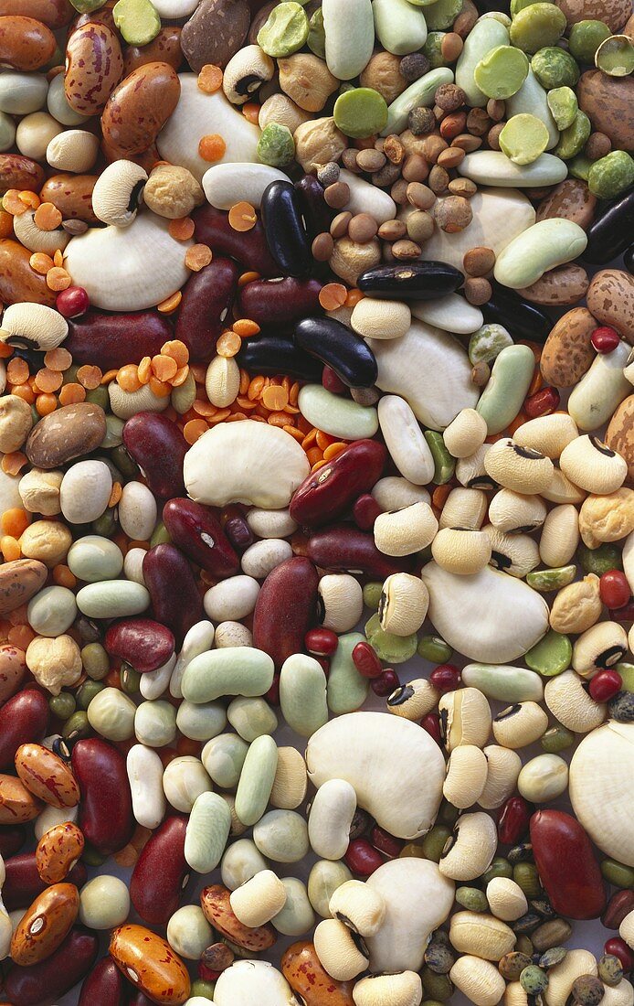 Many Assorted Beans