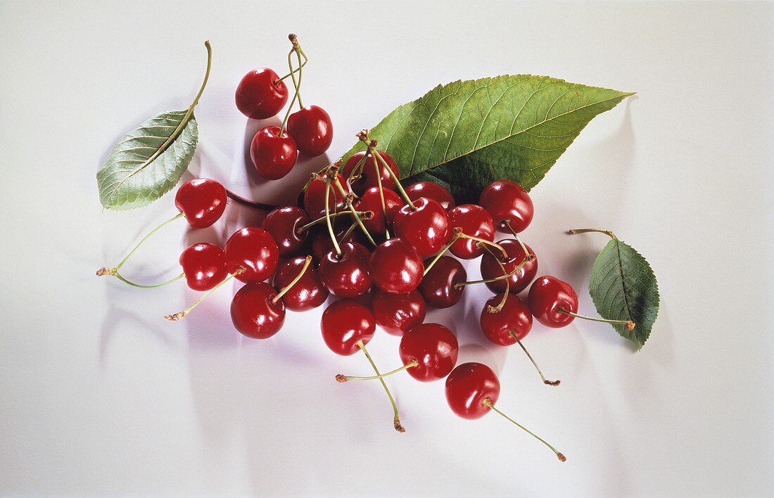 Red Cherries with Leaves