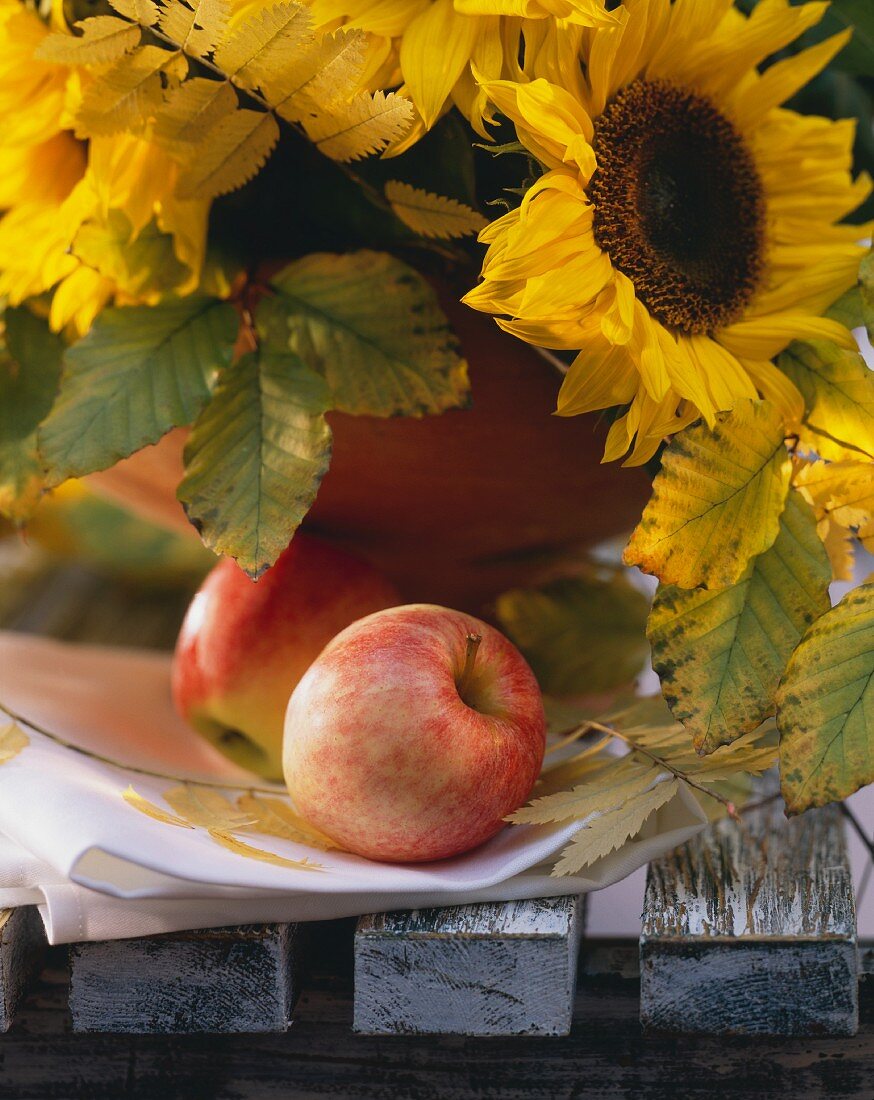 Two Apples with Sunflowers
