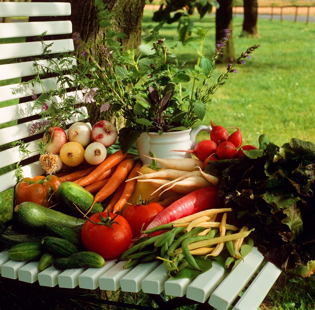 Fresh Garden Vegetables on a Chair Outside