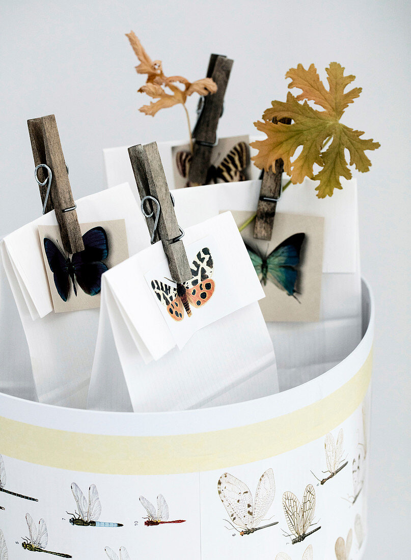 Paper bags with butterfly motifs and wooden clips in a round box