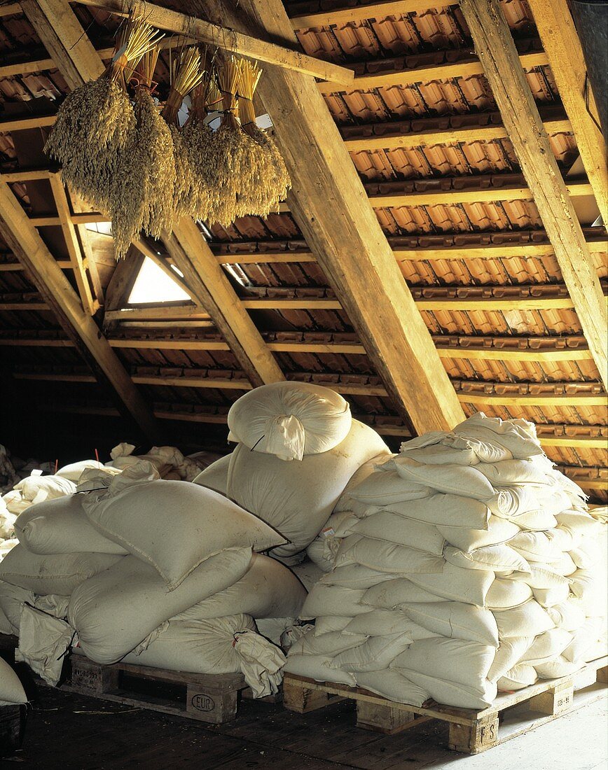 Bags of Grain and Grain Bouquets in a Loft