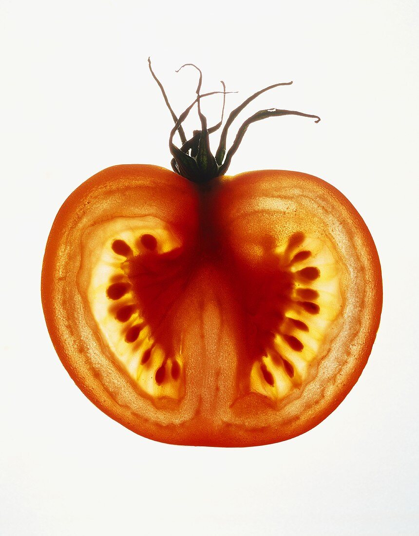 Eine Tomatenscheibe mit Stielansatz