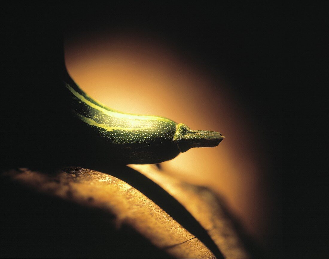 Zucchini (halbseitig beleuchtet)