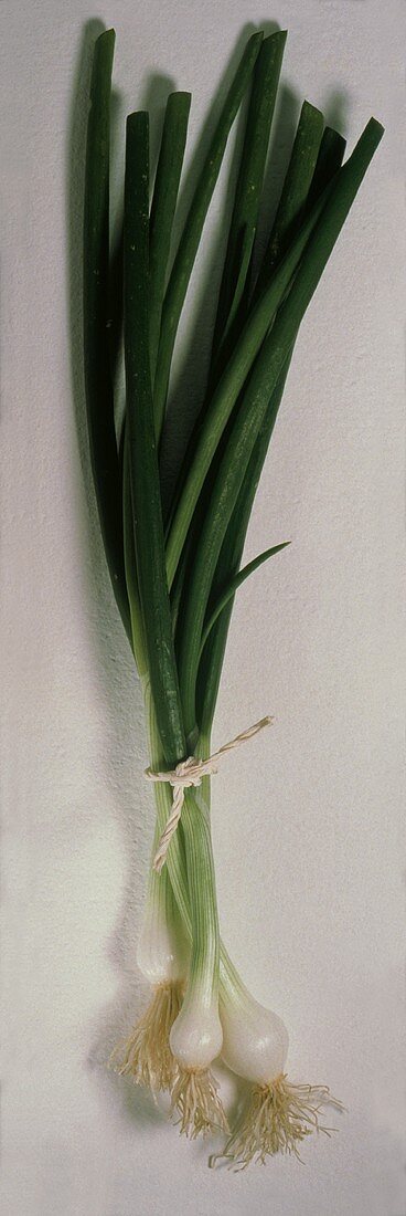 A Bundle of Spring Onions