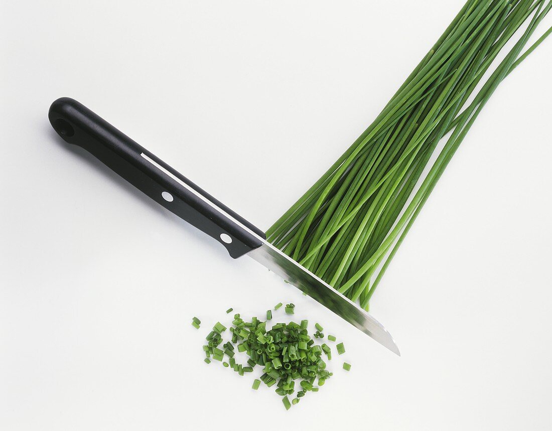 Schnittlauch wird mit Messer geschnitten