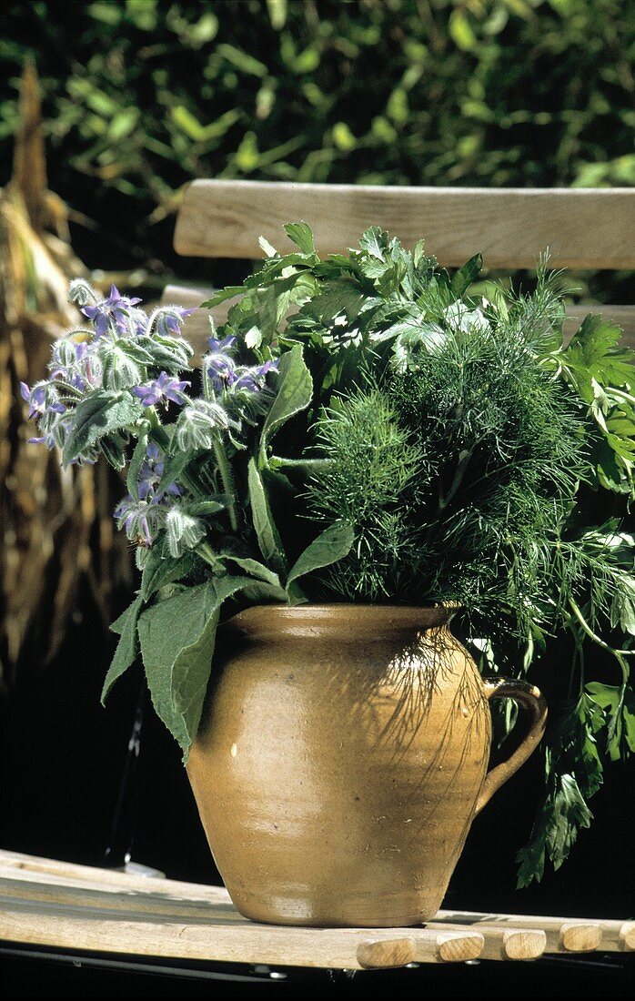 Frische Kräuter im Krug: Borretsch, Dill & Petersilie