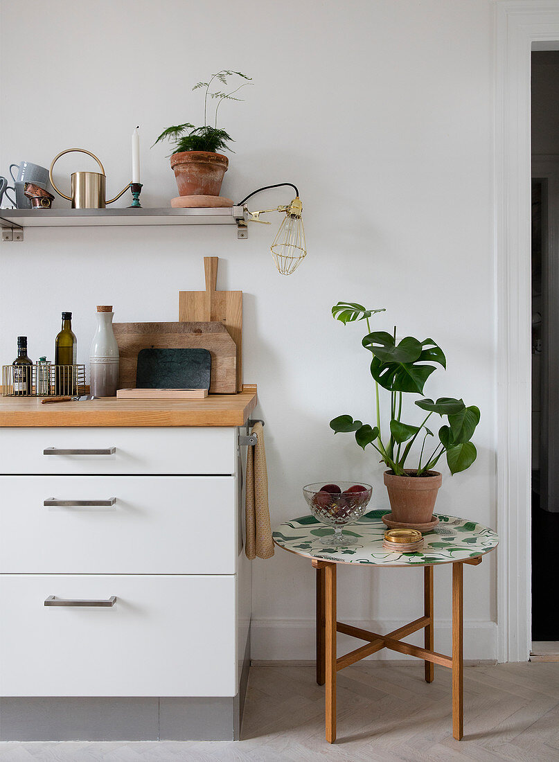 Tray table with Monstera next to the kitchenette with shelf