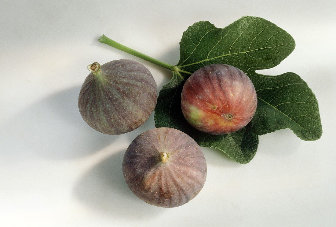 Three Whole Figs with a Fig Leaf