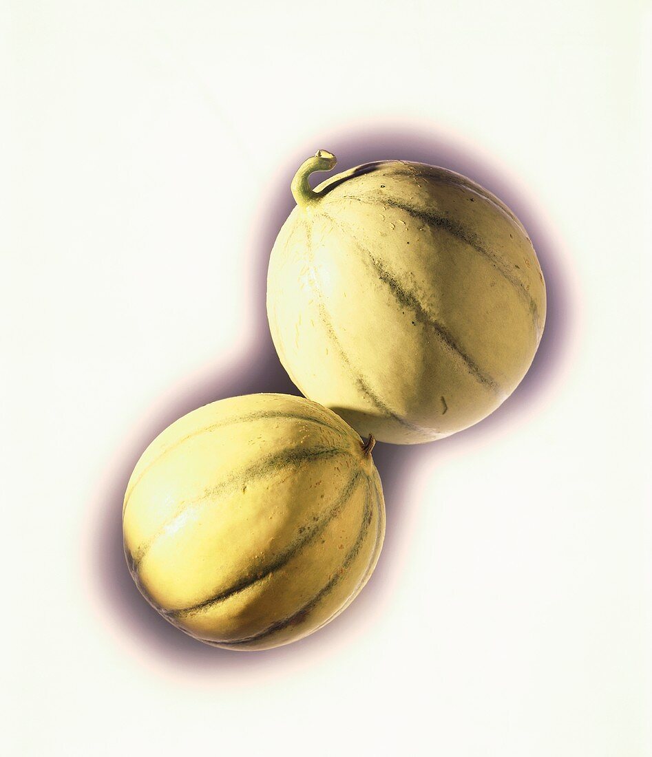 Zwei Melonen der Sorte Charentais (aus Frankreich)