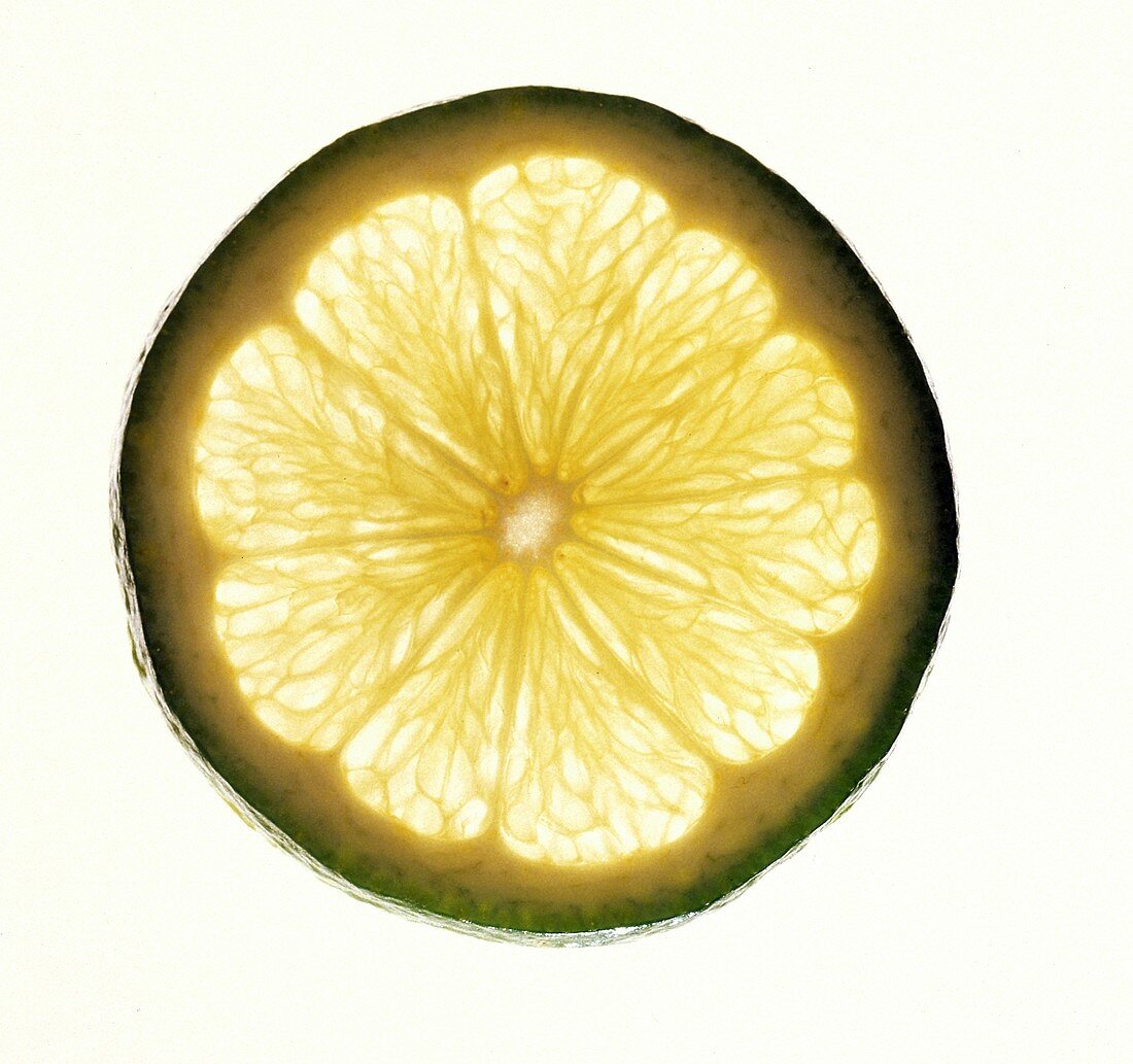 A Single Slice of Lime