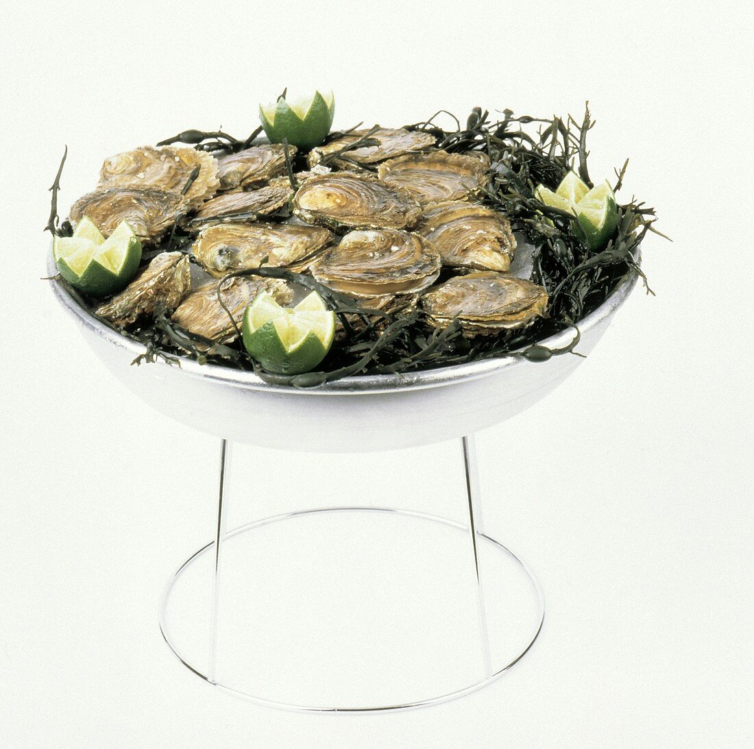 A Bowl of Oysters on Seaweed with Limes