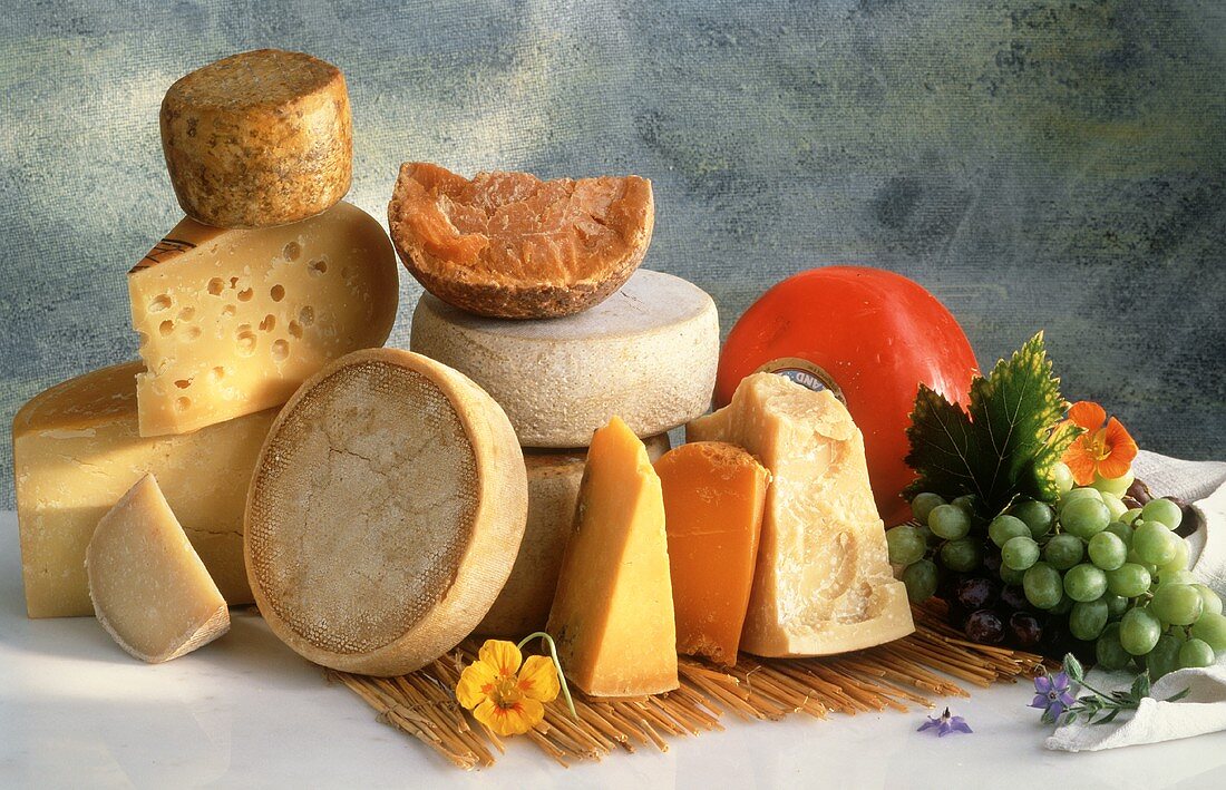 Still Life of Assorted Hard Cheese