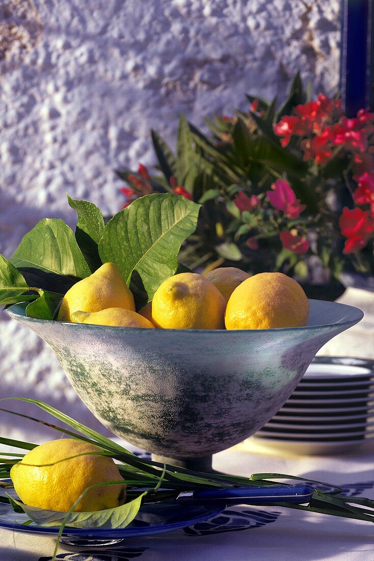 Several Fresh Lemons in Bowl with Leaves