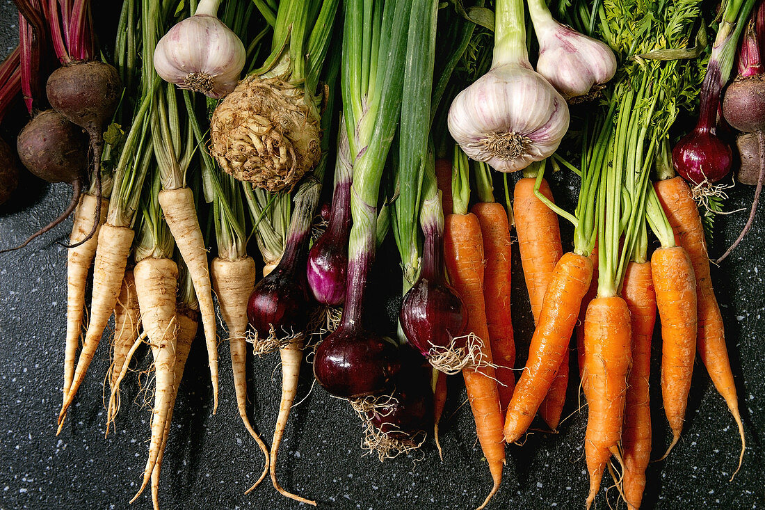 Variety of root garden vegetables carrot, garlic, purple onion, beetroot, parsnip and celery