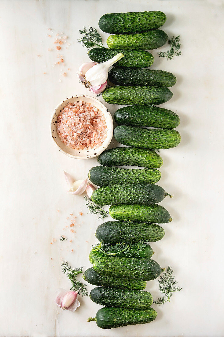 Fresh garden organic cucumbers in row ready for pickled with garlic, dill and pink Himalayan salt