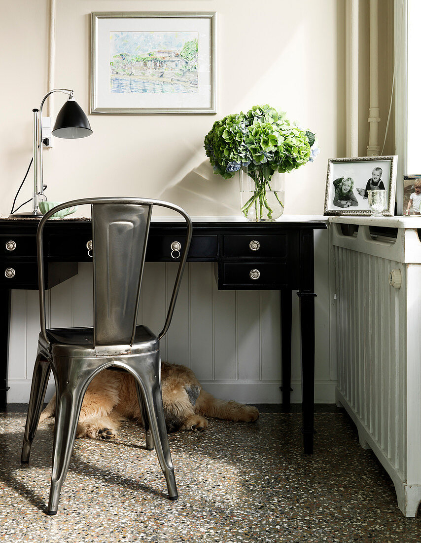 Dog lying under a black desk with a metal chair