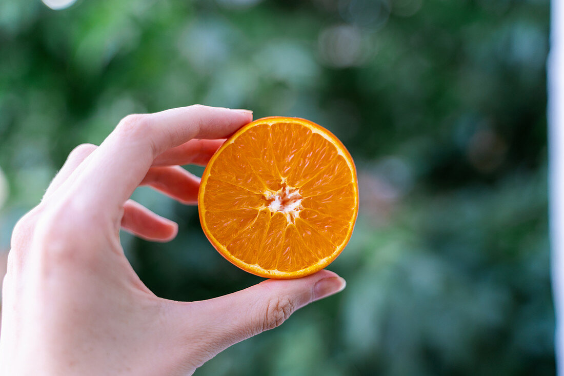 Crop female hand holding ripe orange tangerine on blurred background of garden