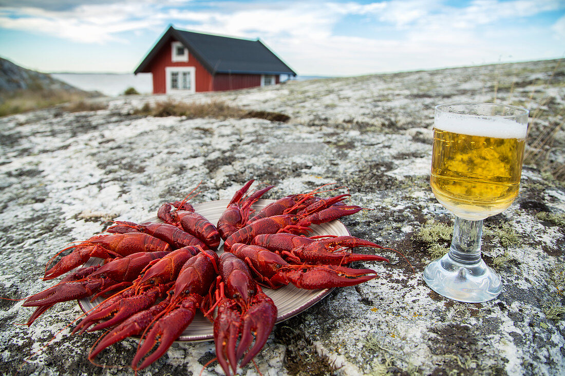 Servierplatte mit Flußkrebsen und Bierglas auf Felsenboden (Skandinavien)