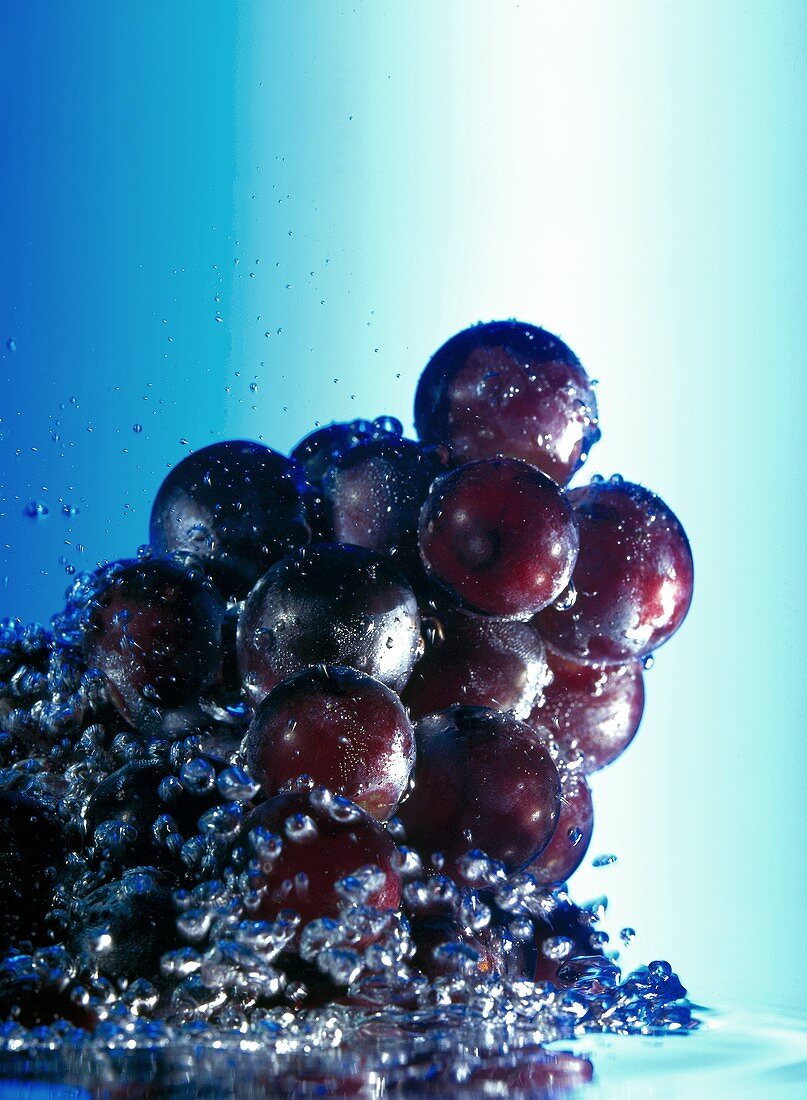 Rote Weintrauben ins Wasser getaucht