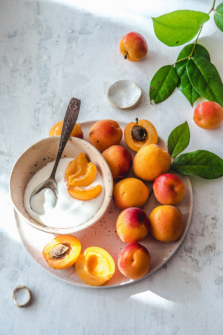 Sunny summer day, fresh apricots and yogurt in a bowl