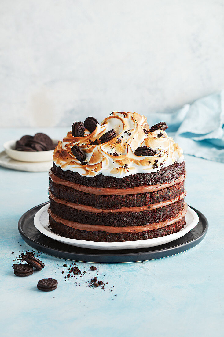Chocolate hazelnut s'mores cake