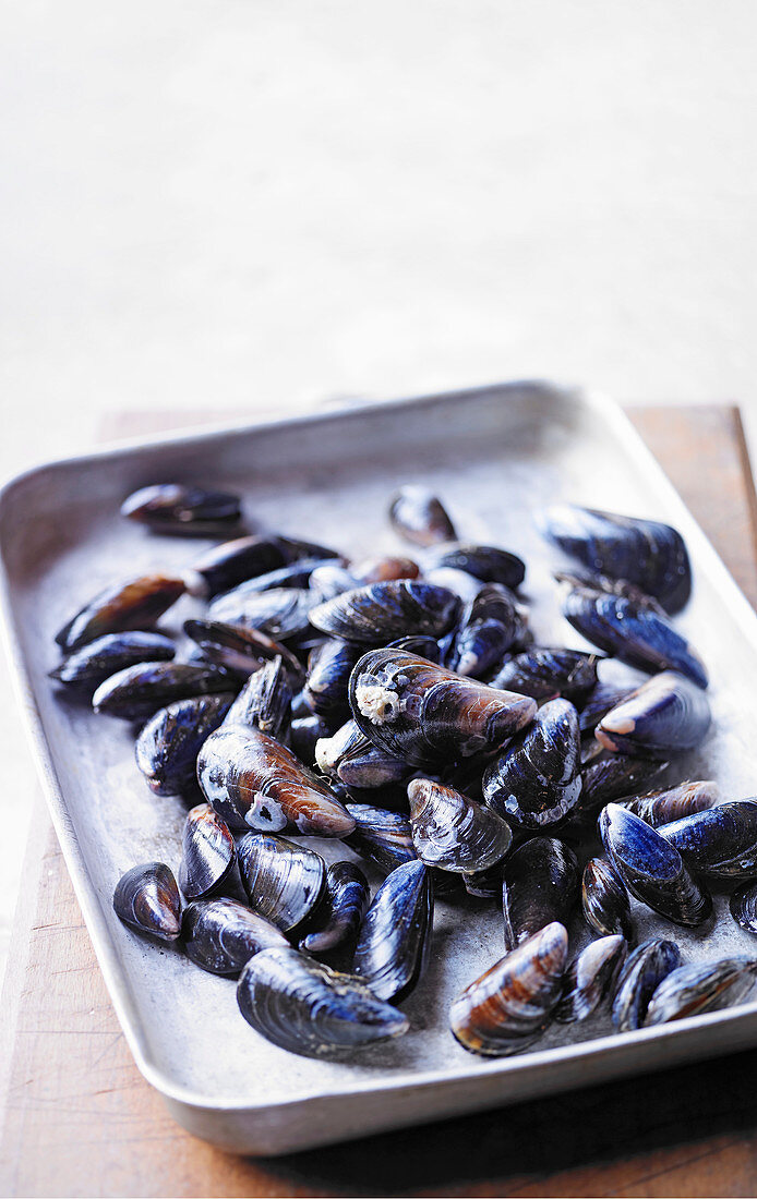 Mussels