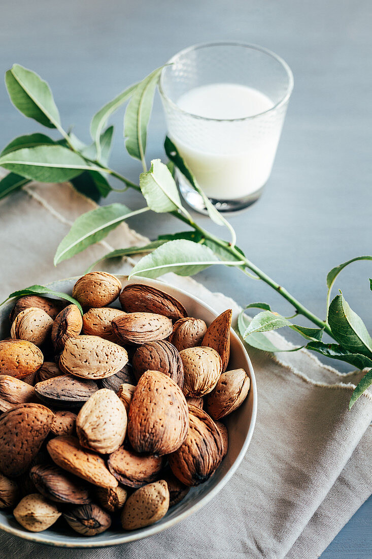 Glass of almond milk next to plate of almonds in shells on kitchen table