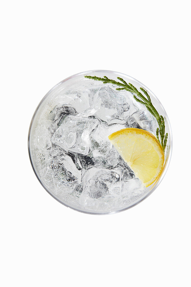 Seaside gin and tonic seeweed