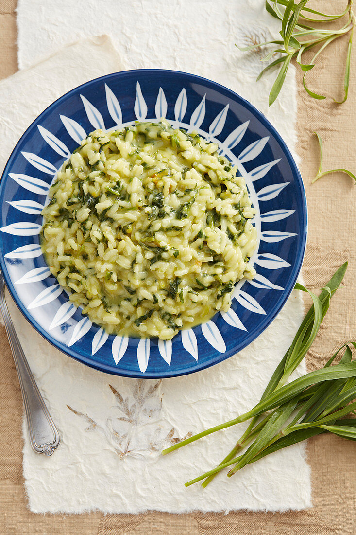 Risotto mit Strigoli (Wildgemüse aus Italien, auch Silene Vulgaris)