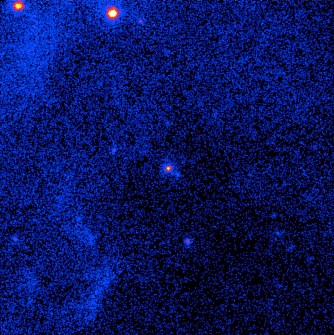 Blazar gamma ray activity,FGST image