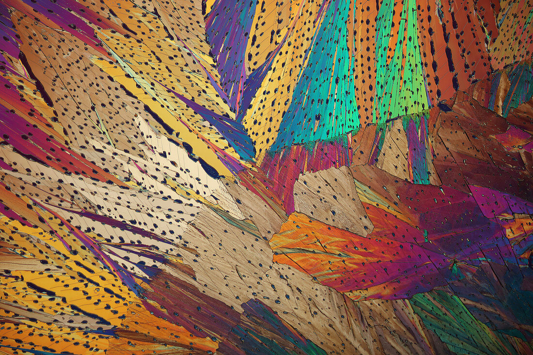 Acetanilide crystals,light micrograph