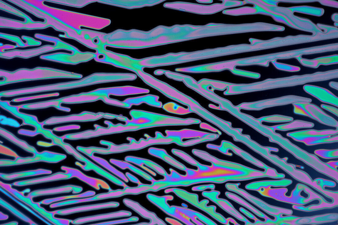Potassium nitrate crystals,light micrograph