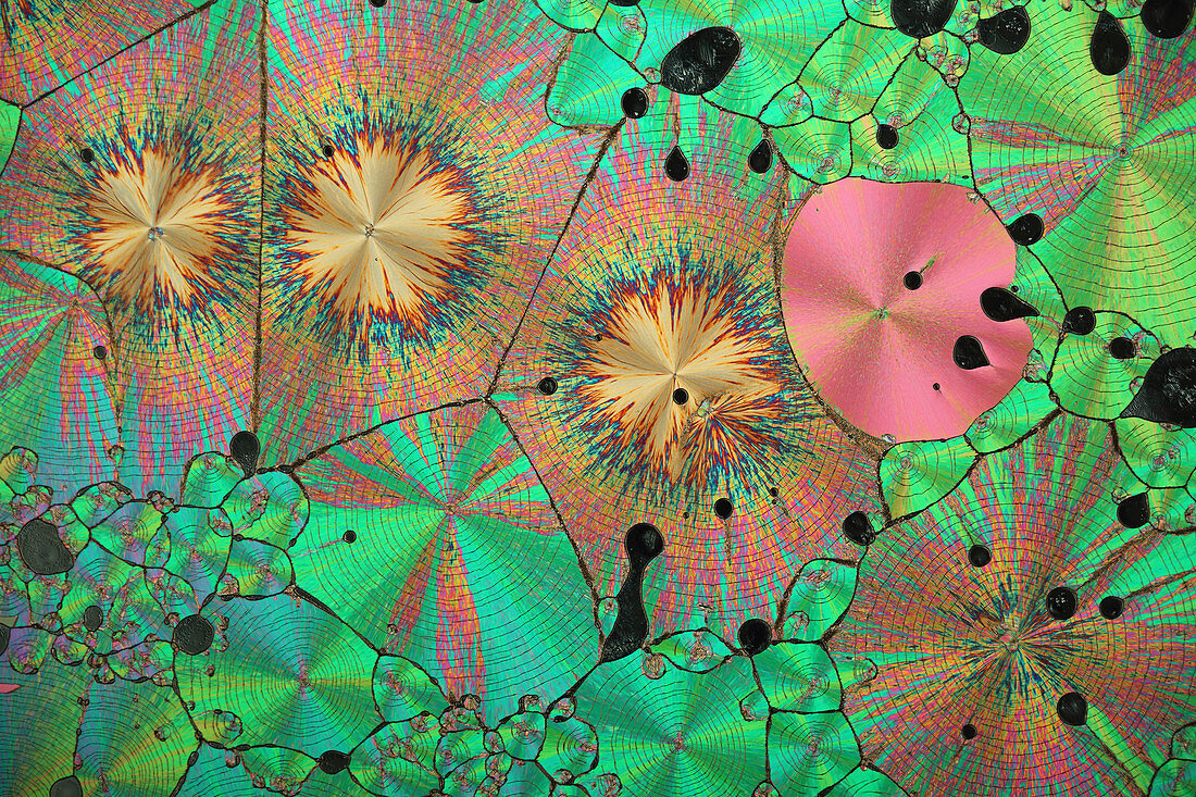 Vitamin B3 crystals,light micrograph