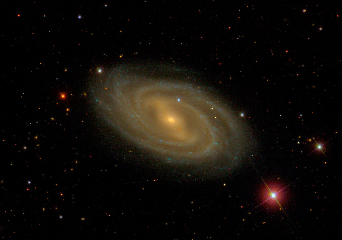 Messier 109 spiral galaxy,Sloan Digital Sky Survey image