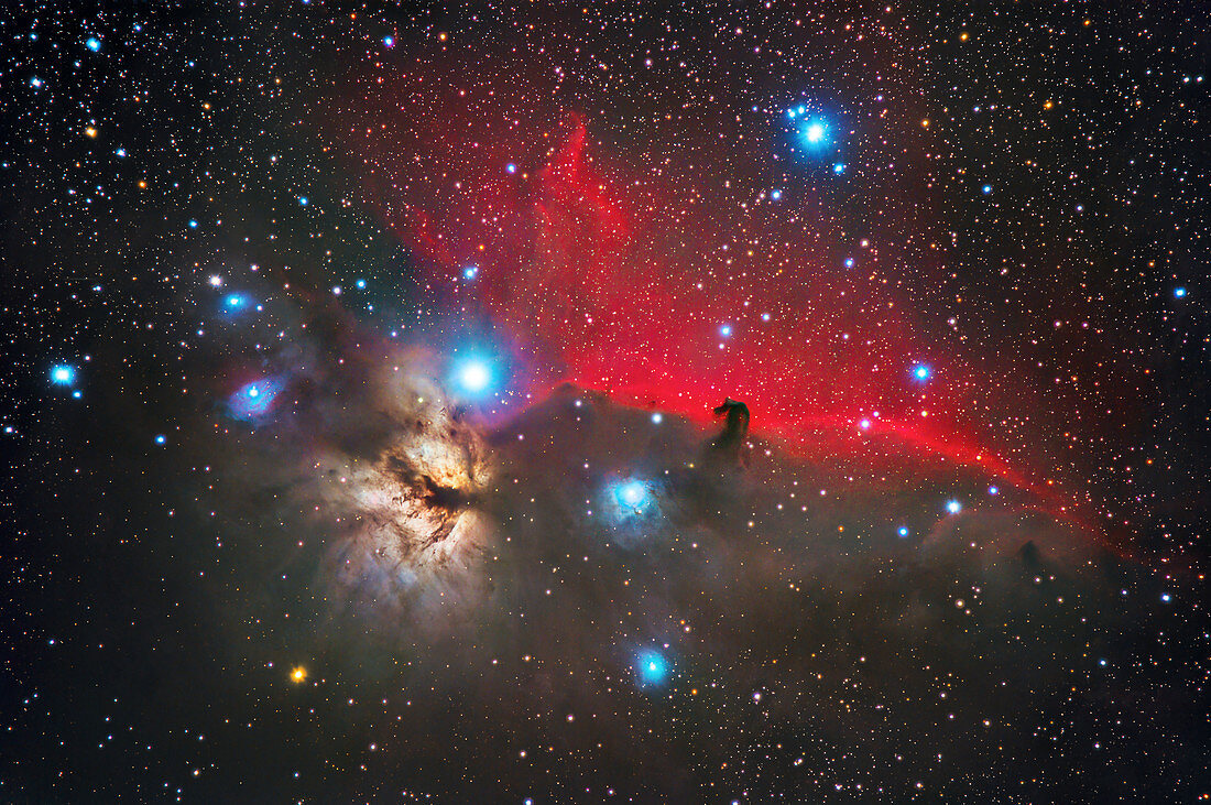 The Horse Head and Flame Nebulae in Orion,optical image