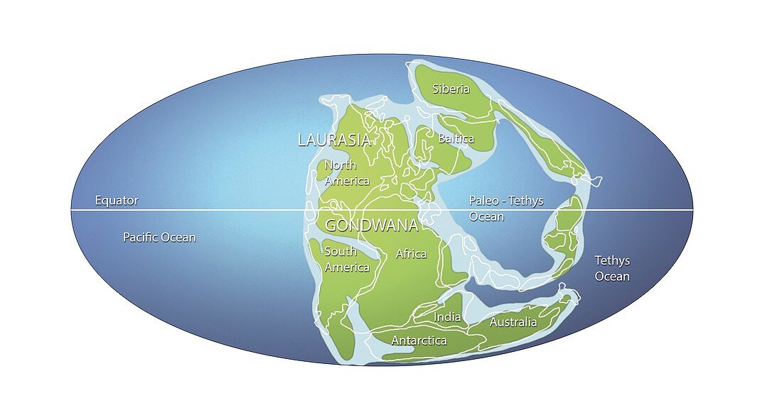Continents 258 million years ago,illustration