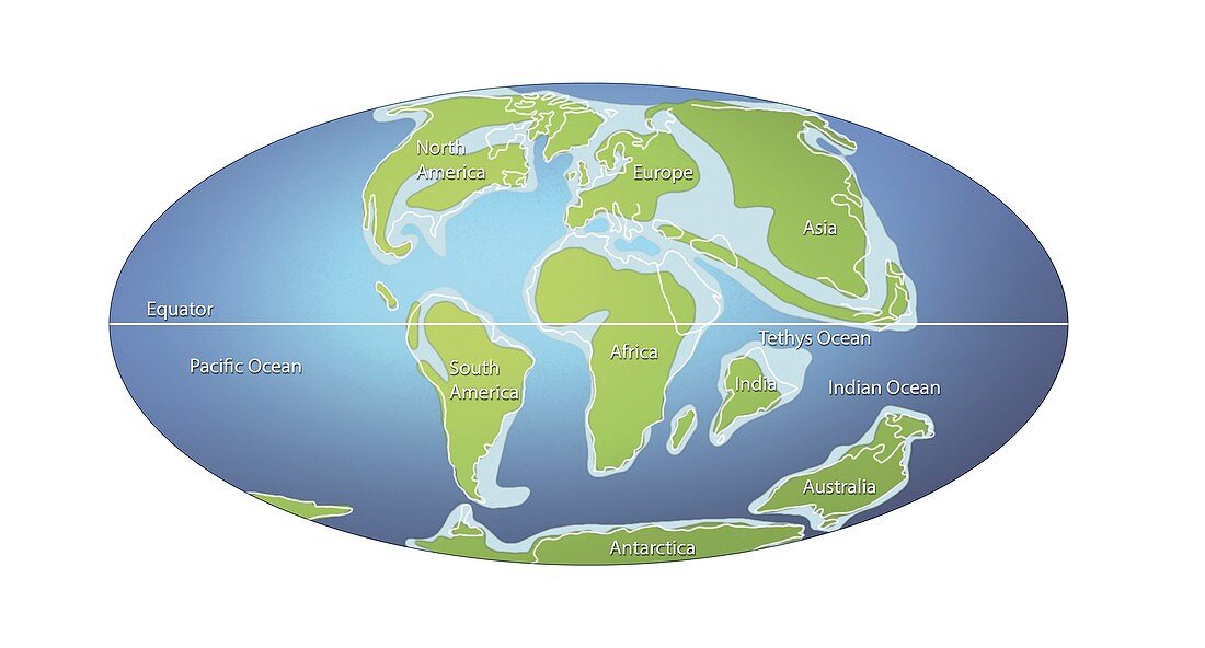 Continents 65 million years ago,illustration