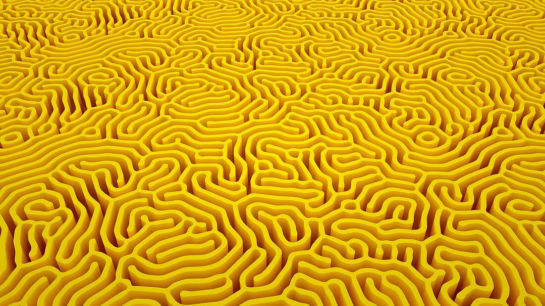 Irregular labyrinth