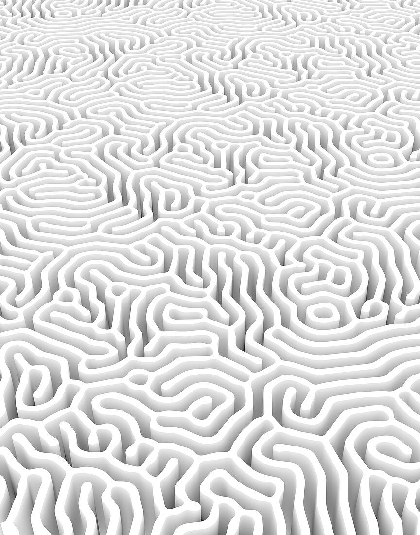 Irregular labyrinth