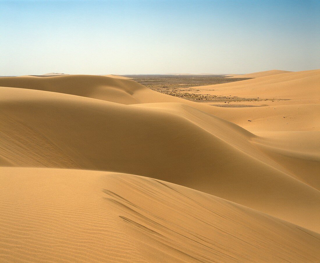 Sand Dunes,Algeria.