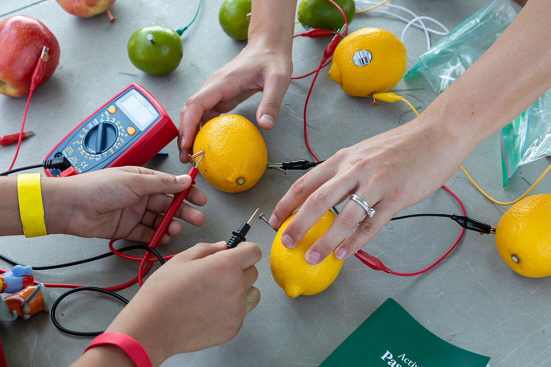 Making batteries from fruit