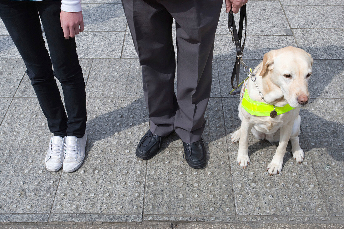 Vision impaired man,guide dog and young sighted guide
